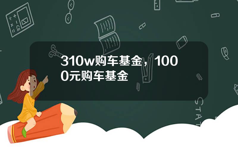 310w购车基金，1000元购车基金