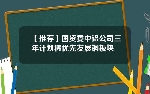 【推荐】国资委中铝公司三年计划将优先发展铜板块