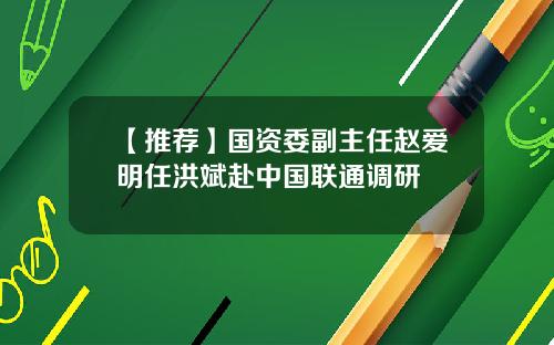 【推荐】国资委副主任赵爱明任洪斌赴中国联通调研