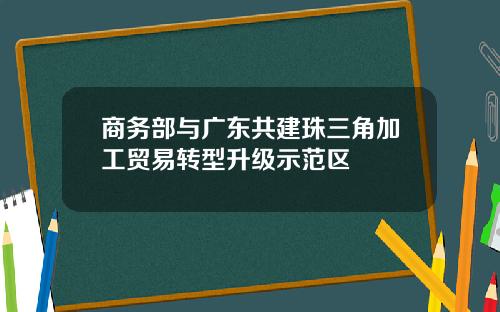 商务部与广东共建珠三角加工贸易转型升级示范区