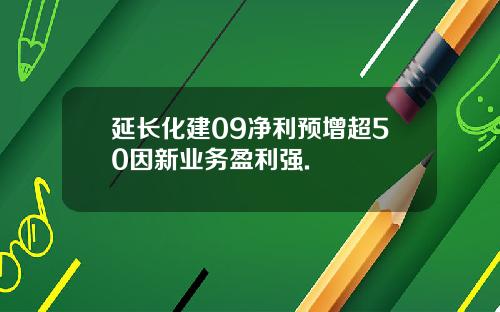 延长化建09净利预增超50因新业务盈利强.