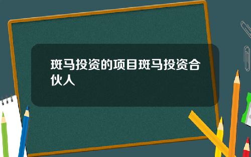 斑马投资的项目斑马投资合伙人