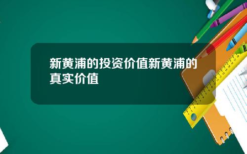 新黄浦的投资价值新黄浦的真实价值