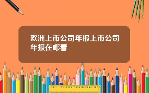 欧洲上市公司年报上市公司年报在哪看