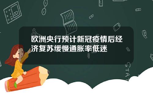 欧洲央行预计新冠疫情后经济复苏缓慢通胀率低迷