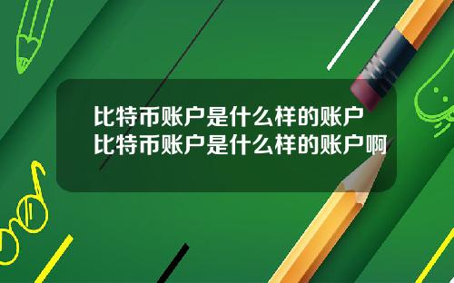 比特币账户是什么样的账户比特币账户是什么样的账户啊