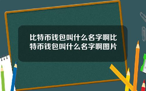 比特币钱包叫什么名字啊比特币钱包叫什么名字啊图片