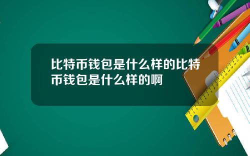 比特币钱包是什么样的比特币钱包是什么样的啊