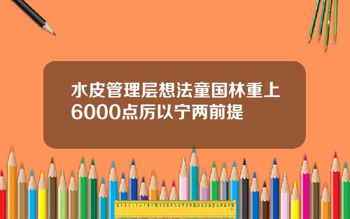 水皮管理层想法童国林重上6000点厉以宁两前提