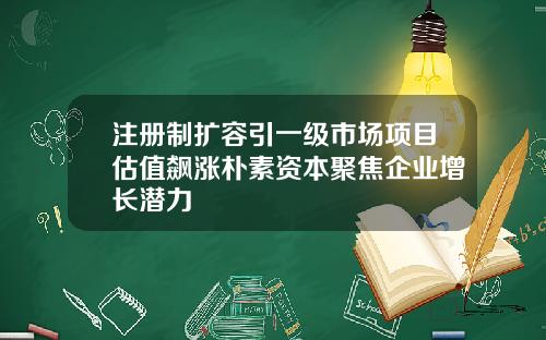 注册制扩容引一级市场项目估值飙涨朴素资本聚焦企业增长潜力