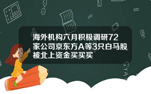 海外机构六月积极调研72家公司京东方A等3只白马股被北上资金买买买