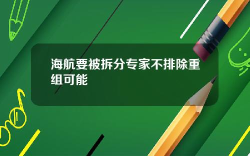 海航要被拆分专家不排除重组可能