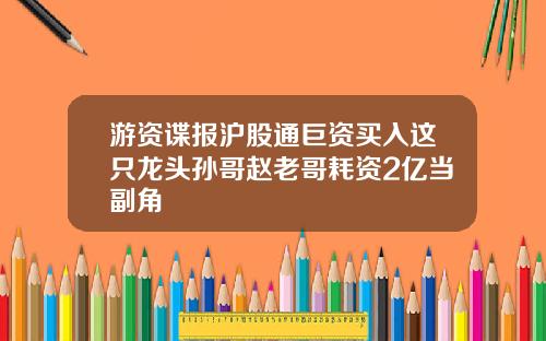 游资谍报沪股通巨资买入这只龙头孙哥赵老哥耗资2亿当副角