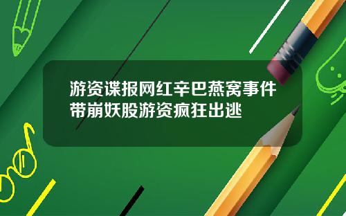 游资谍报网红辛巴燕窝事件带崩妖股游资疯狂出逃