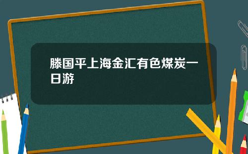 滕国平上海金汇有色煤炭一日游