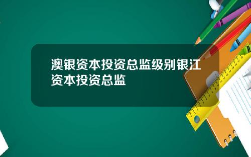 澳银资本投资总监级别银江资本投资总监