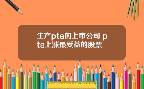 生产pta的上市公司 pta上涨最受益的股票