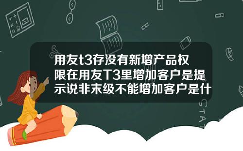 用友t3存没有新增产品权限在用友T3里增加客户是提示说非末级不能增加客户是什么原因