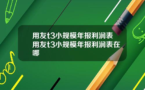 用友t3小规模年报利润表用友t3小规模年报利润表在哪