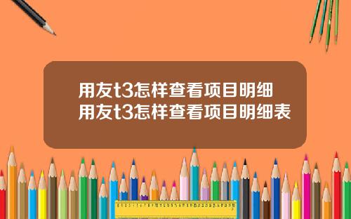 用友t3怎样查看项目明细用友t3怎样查看项目明细表