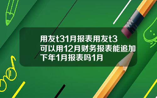 用友t31月报表用友t3可以用12月财务报表能追加下年1月报表吗1月