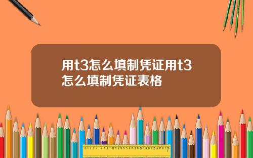 用t3怎么填制凭证用t3怎么填制凭证表格