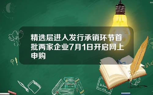 精选层进入发行承销环节首批两家企业7月1日开启网上申购