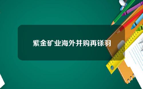 紫金矿业海外并购再铩羽