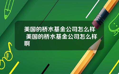 美国的桥水基金公司怎么样 美国的桥水基金公司怎么样啊