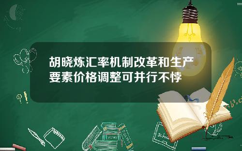 胡晓炼汇率机制改革和生产要素价格调整可并行不悖