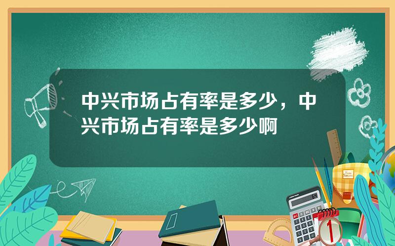 中兴市场占有率是多少，中兴市场占有率是多少啊