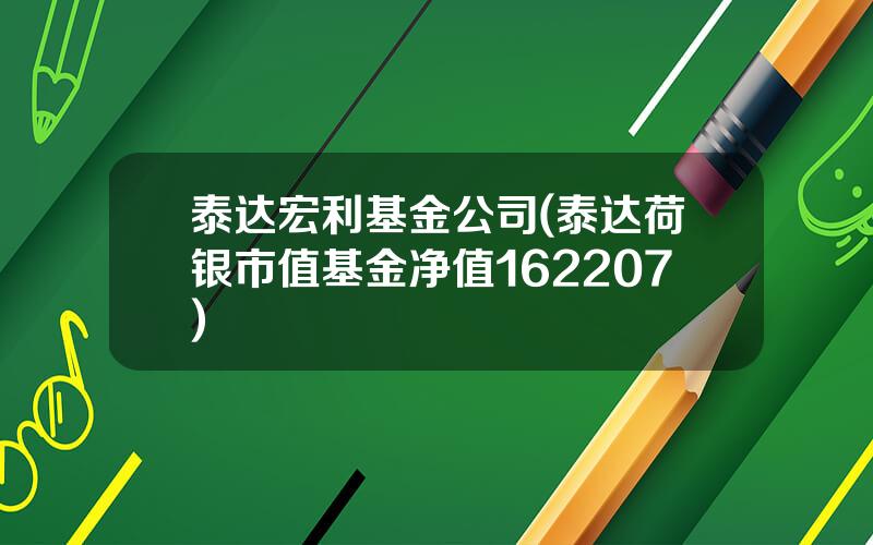 泰达宏利基金公司(泰达荷银市值基金净值162207)