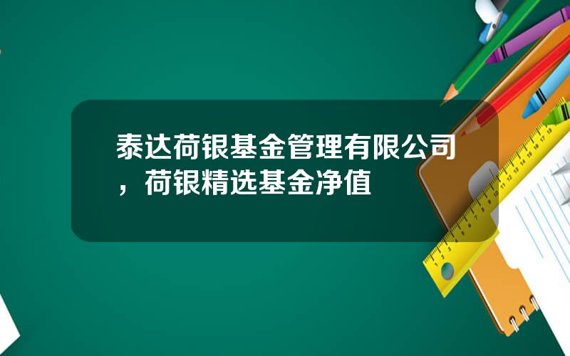 泰达荷银基金管理有限公司，荷银精选基金净值