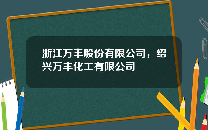 浙江万丰股份有限公司，绍兴万丰化工有限公司