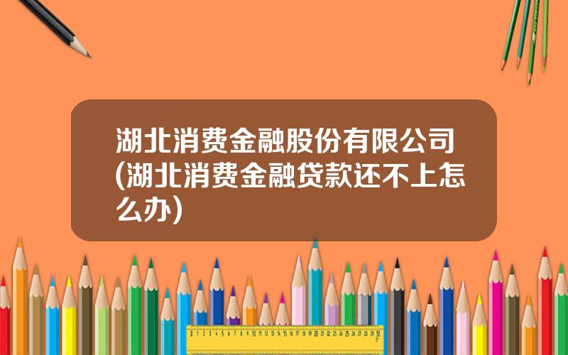 湖北消费金融股份有限公司(湖北消费金融贷款还不上怎么办)