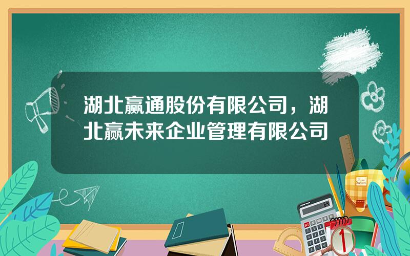 湖北赢通股份有限公司，湖北赢未来企业管理有限公司