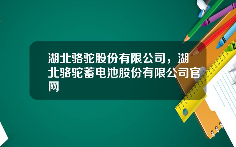 湖北骆驼股份有限公司，湖北骆驼蓄电池股份有限公司官网