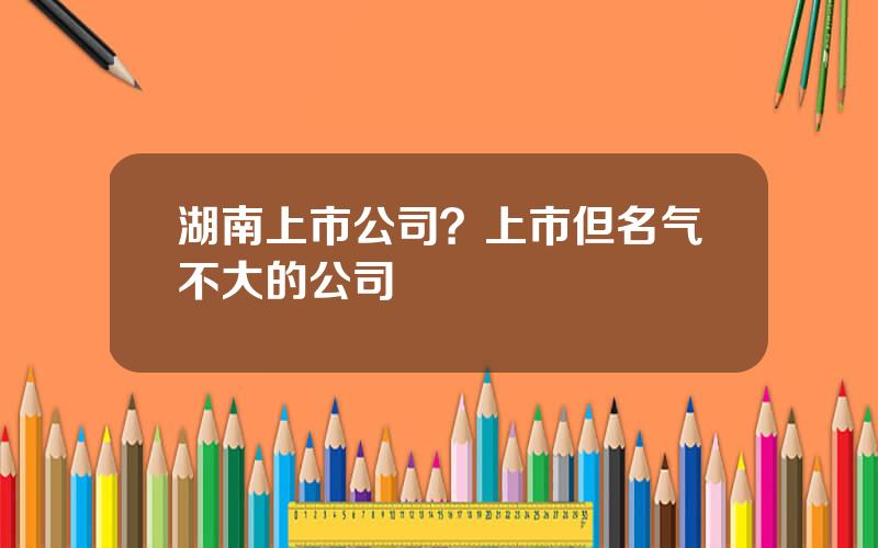 湖南上市公司？上市但名气不大的公司