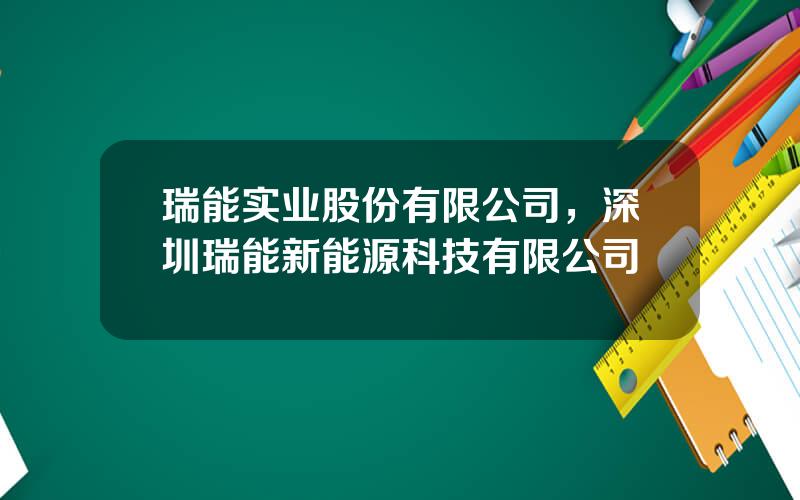 瑞能实业股份有限公司，深圳瑞能新能源科技有限公司