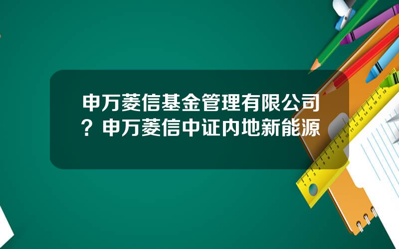 申万菱信基金管理有限公司？申万菱信中证内地新能源