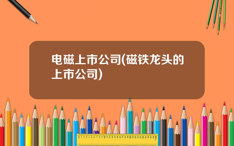 电磁上市公司(磁铁龙头的上市公司)