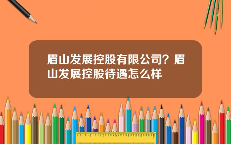 眉山发展控股有限公司？眉山发展控股待遇怎么样