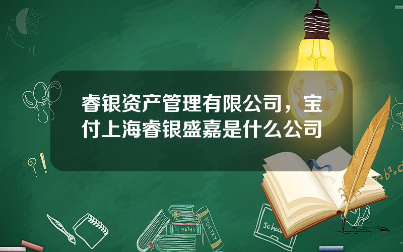 睿银资产管理有限公司，宝付上海睿银盛嘉是什么公司