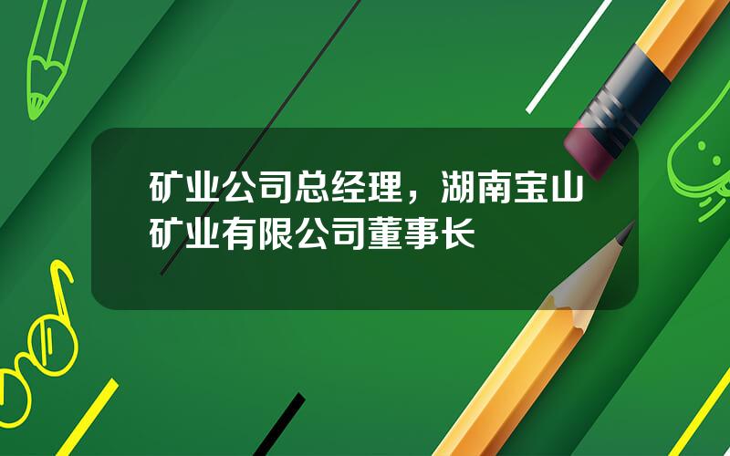 矿业公司总经理，湖南宝山矿业有限公司董事长