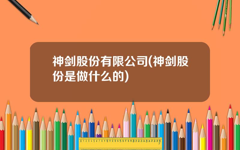 神剑股份有限公司(神剑股份是做什么的)