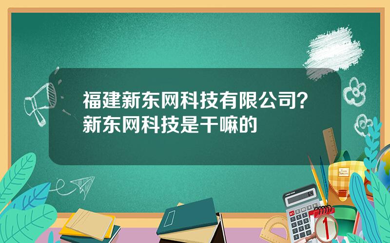 福建新东网科技有限公司？新东网科技是干嘛的