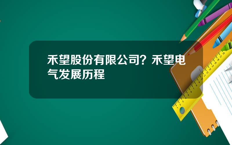 禾望股份有限公司？禾望电气发展历程