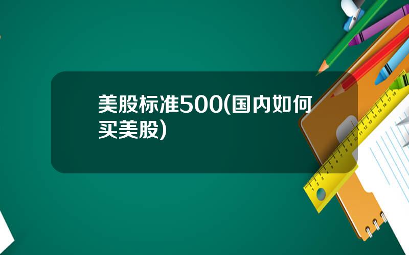 美股标准500(国内如何买美股)