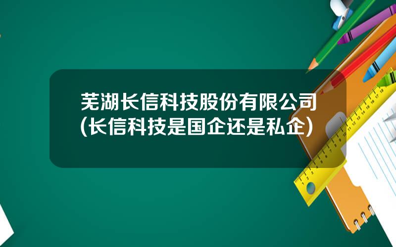 芜湖长信科技股份有限公司(长信科技是国企还是私企)