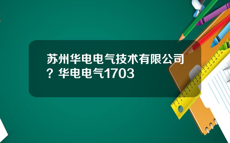 苏州华电电气技术有限公司？华电电气1703